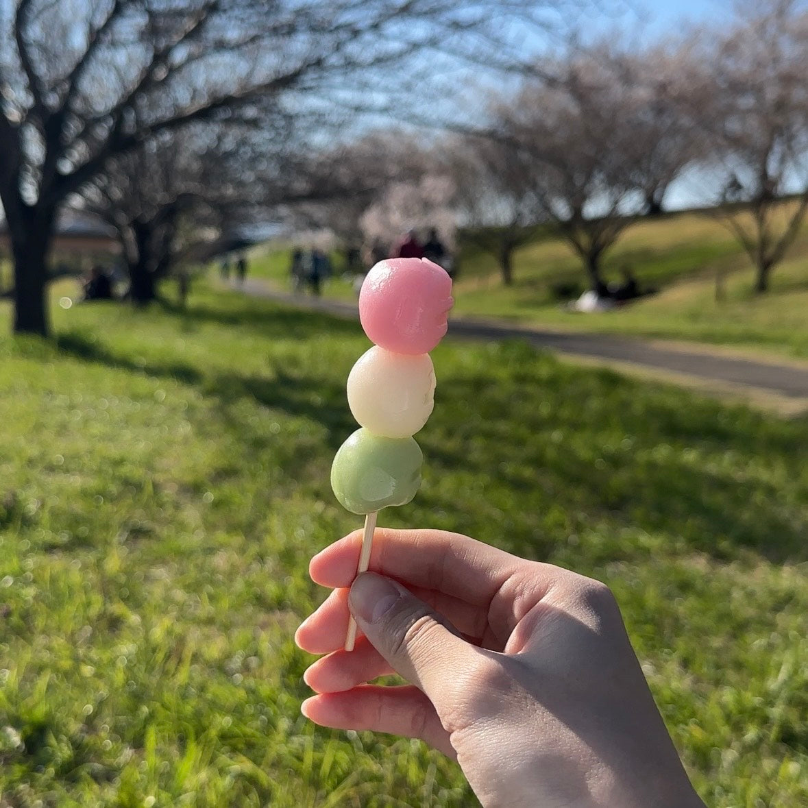 春を探す蝶(半袖)