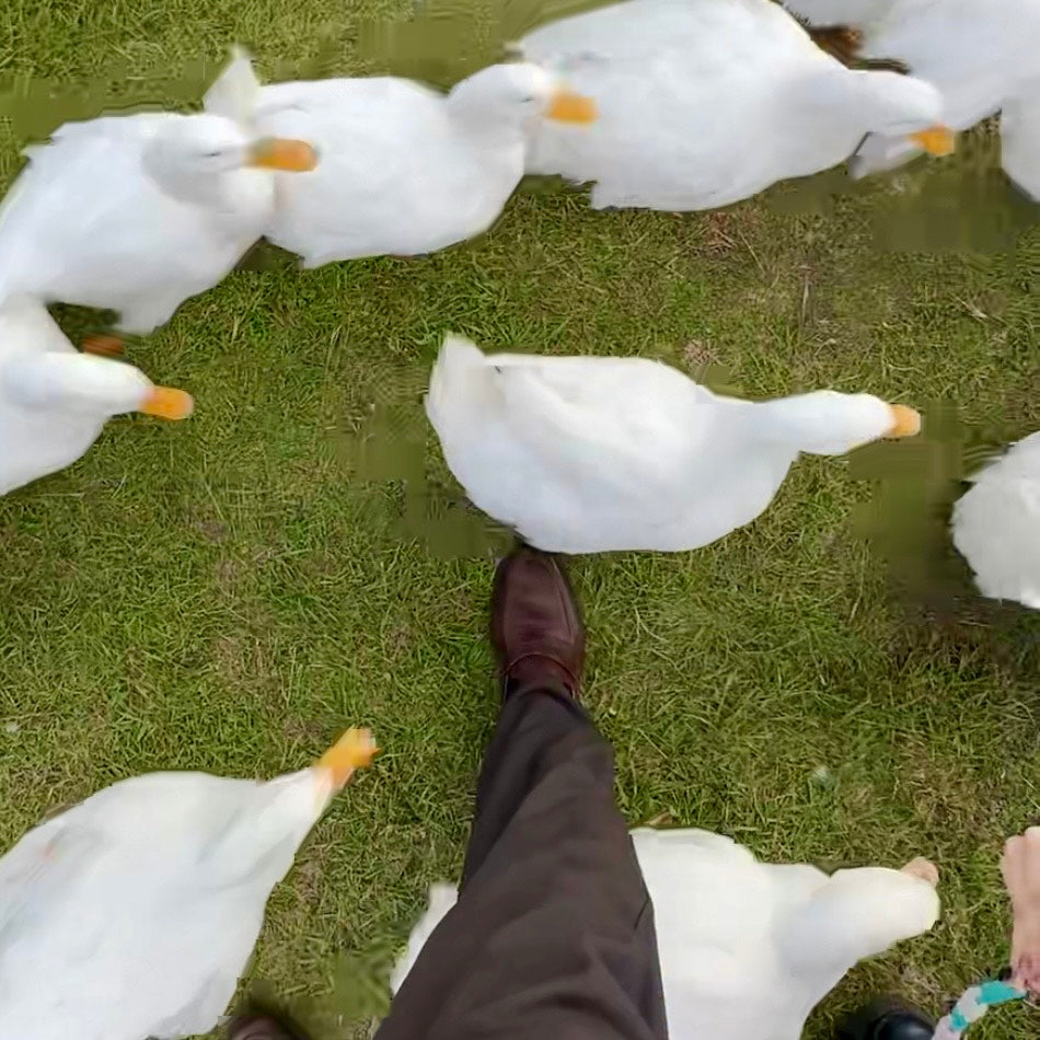 通勤ダックのトートバッグ