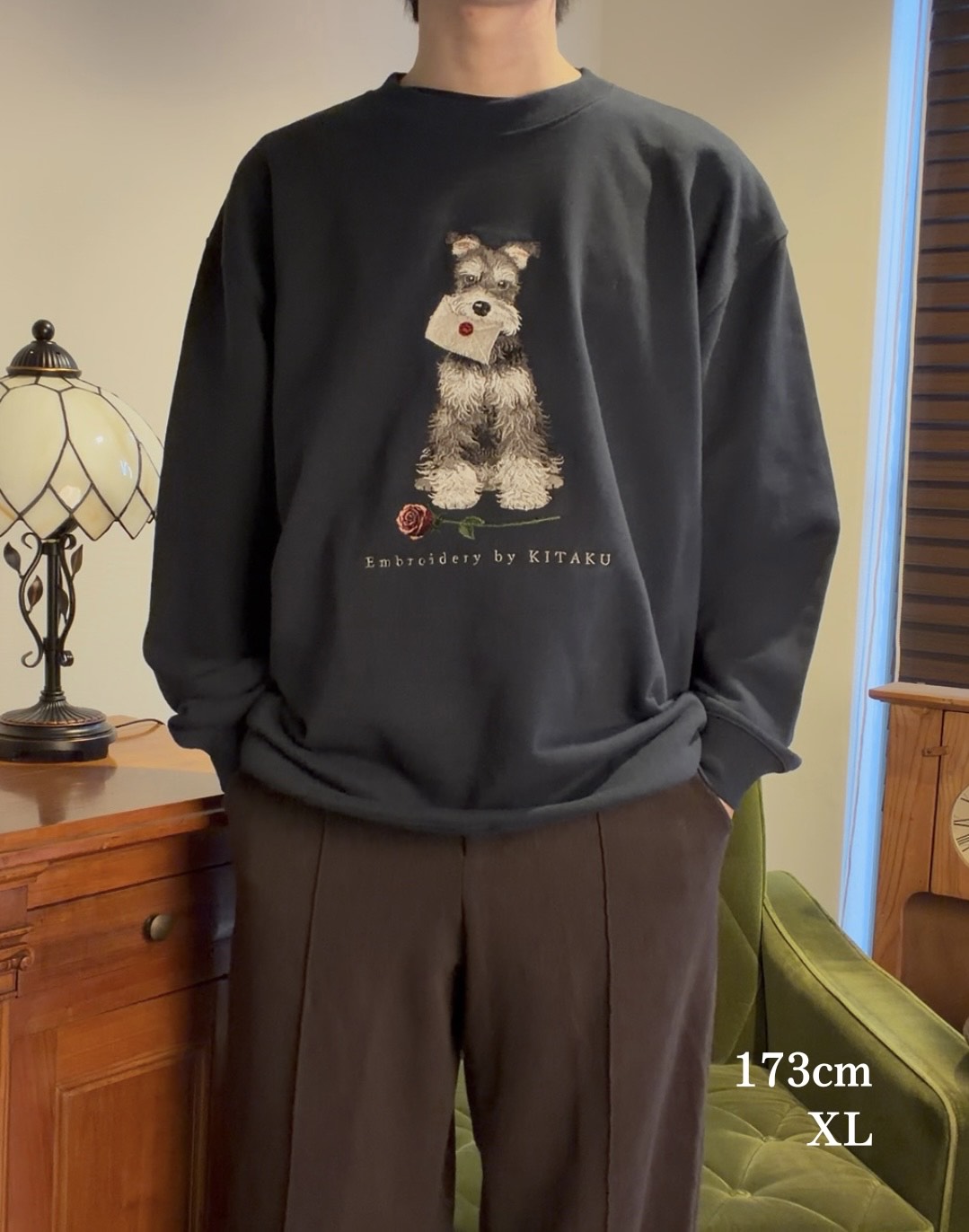 【新作】シュナウザーの伝言