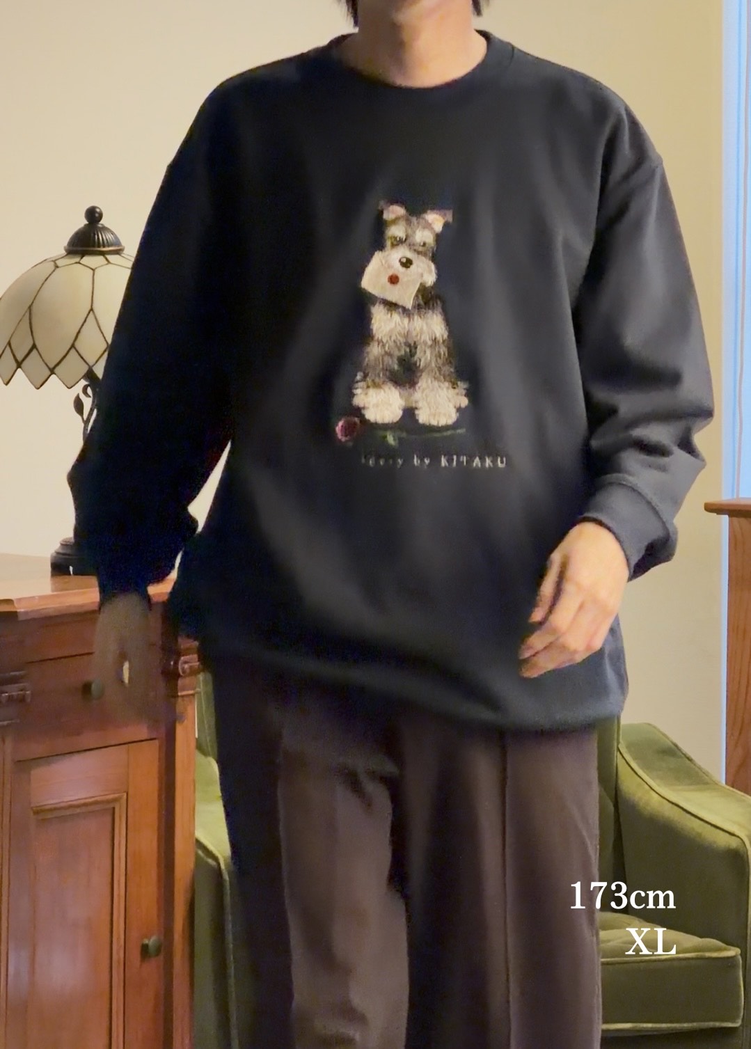 【新作】シュナウザーの伝言