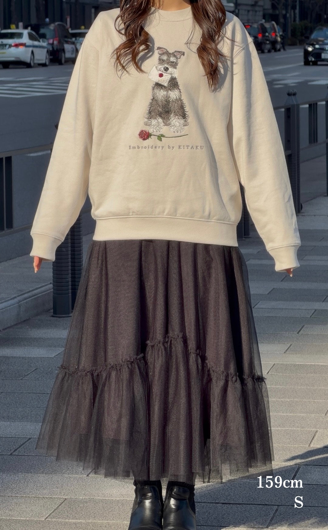 【新作】シュナウザーの伝言