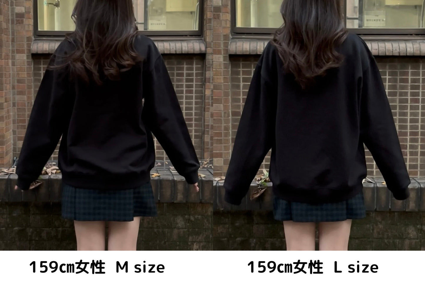 【新作】子狐の読書