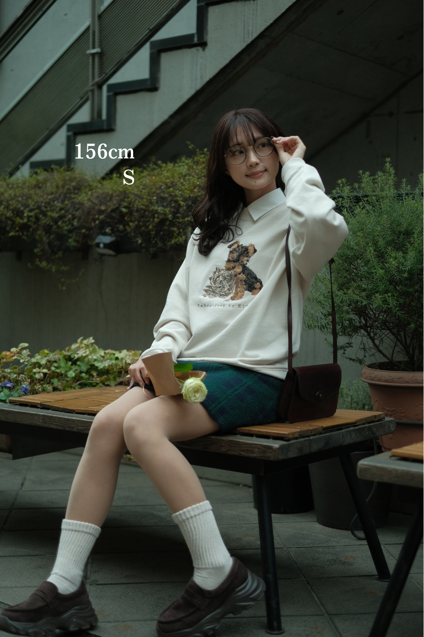 【新作】いたずらヨーキー